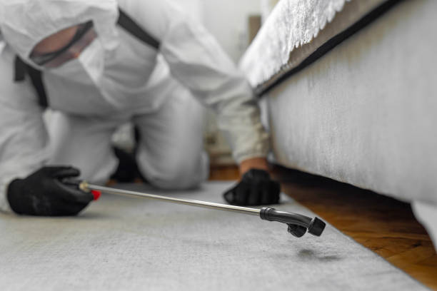 Professional Cockroach Control technician working in Desoto Lakes, FL
