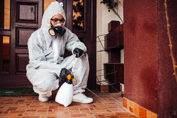 Reliable Cockroach Control contractor in Desoto Lakes, FL by Nex Pest Control